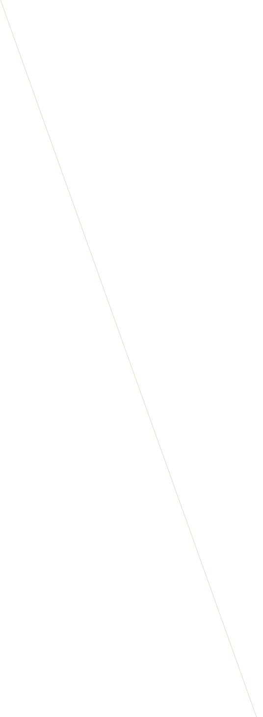 vector line