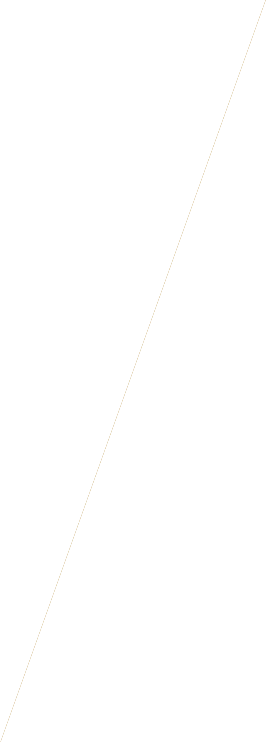 vector line